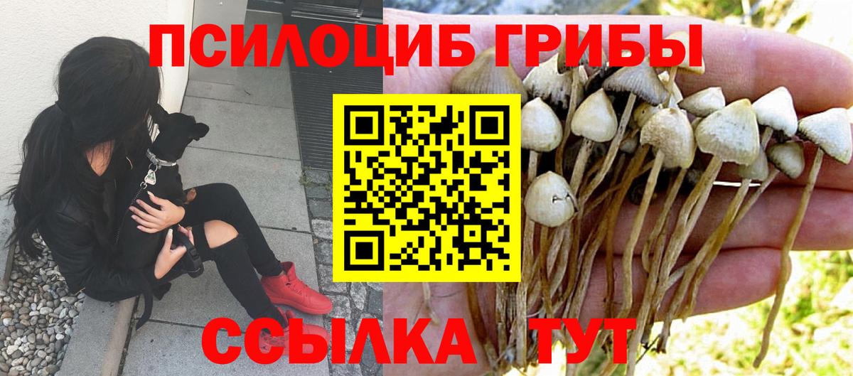 Псилоцибиновые грибы Magic Shrooms  Вход с VPN  Топки  Галлюциногенные грибы Magic Shrooms 