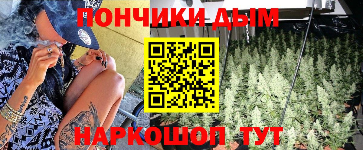 Бошки марихуана ГИДРОПОН  Бошки Шишки план  Топки  Вход с VPN  Конопля сатива 